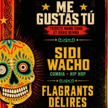 les Flagrants D&eacute;lires