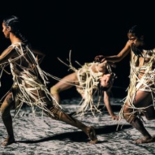 Chaillot Th&eacute;&acirc;tre National de la Danse Saison
