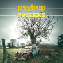 Psykup - 7 Weeks