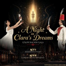 A Night In Clara's Dream