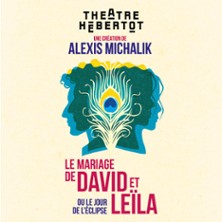 Le Mariage de David et Leila