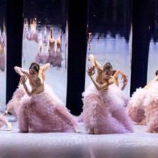 Casse-Noisette - Europa Danse Company