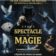 Grand Spectacle de Magie - Th&eacute;&acirc;tre Bonlieu - Annecy