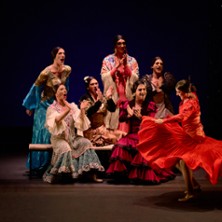 &iexcl; VIVA ! - Cie Manuel Linan - Festival Cadences