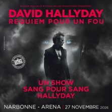 David Hallyday - Requiem Pour Un Fou