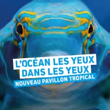 Oc&eacute;anopolis