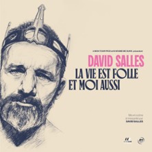 David Salles - La Vie est Folle et Moi Aussi
