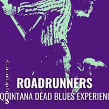 Roadrunners + Quintana Dead Blues Experience - Rise and Fall Festival