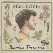 REMI BOYES  Bombus Terrestris V2