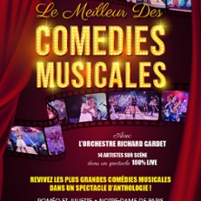 LE MEILLEUR DES COMEDIES MUSICALES