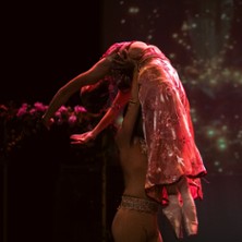 Natraaj - Gala des Artistes