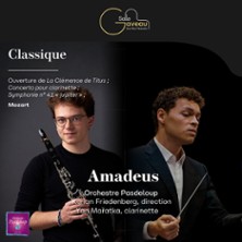 Amadeus Orchestre Pasdeloup