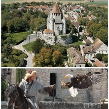 Pass Provins + Spectacle Les Aigles des Remparts