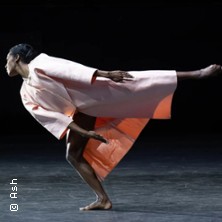 Th&eacute;&acirc;tre des Champs Elys&eacute;es - Toute la Saison